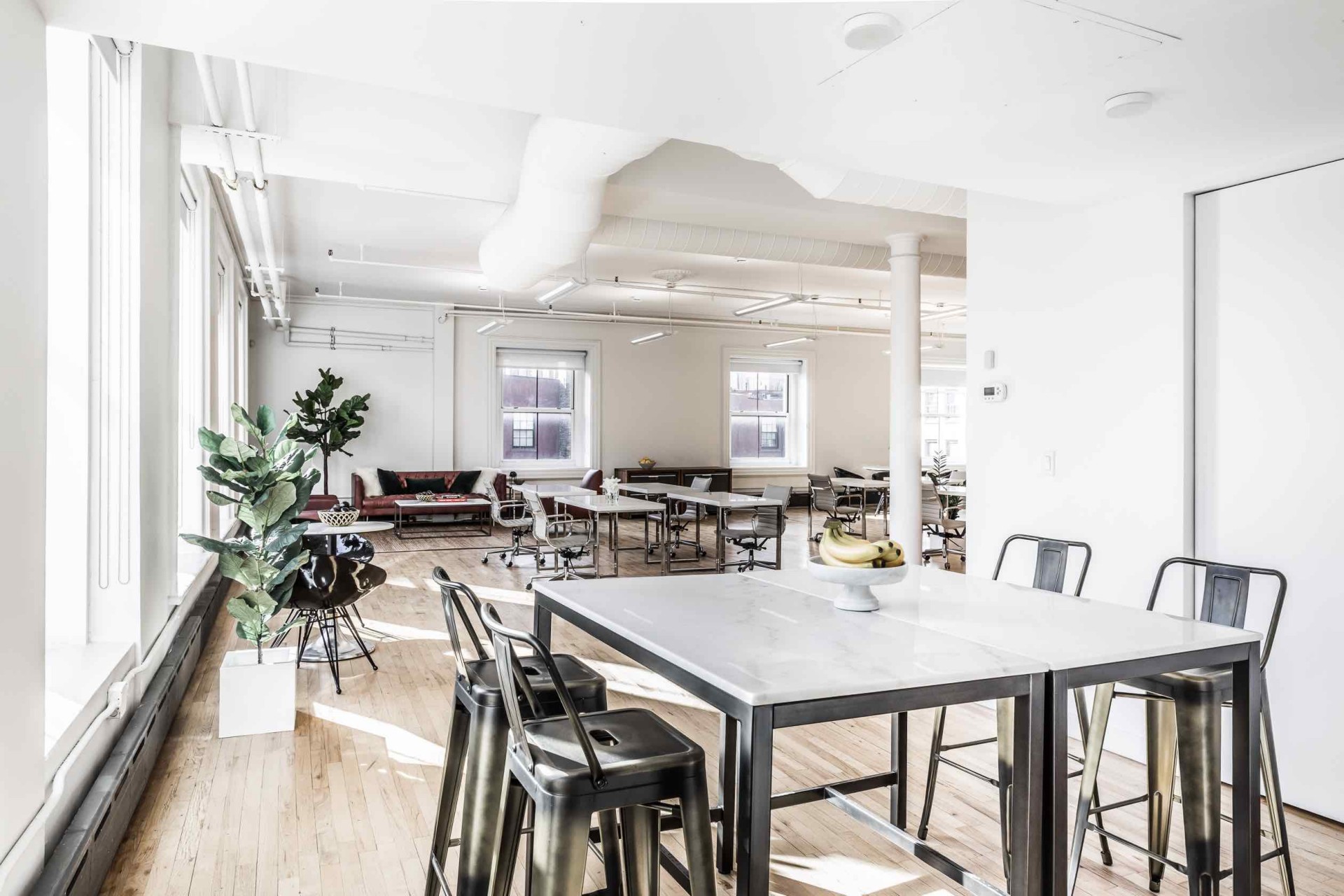 100 Crosby Street Suite 509 Open Area