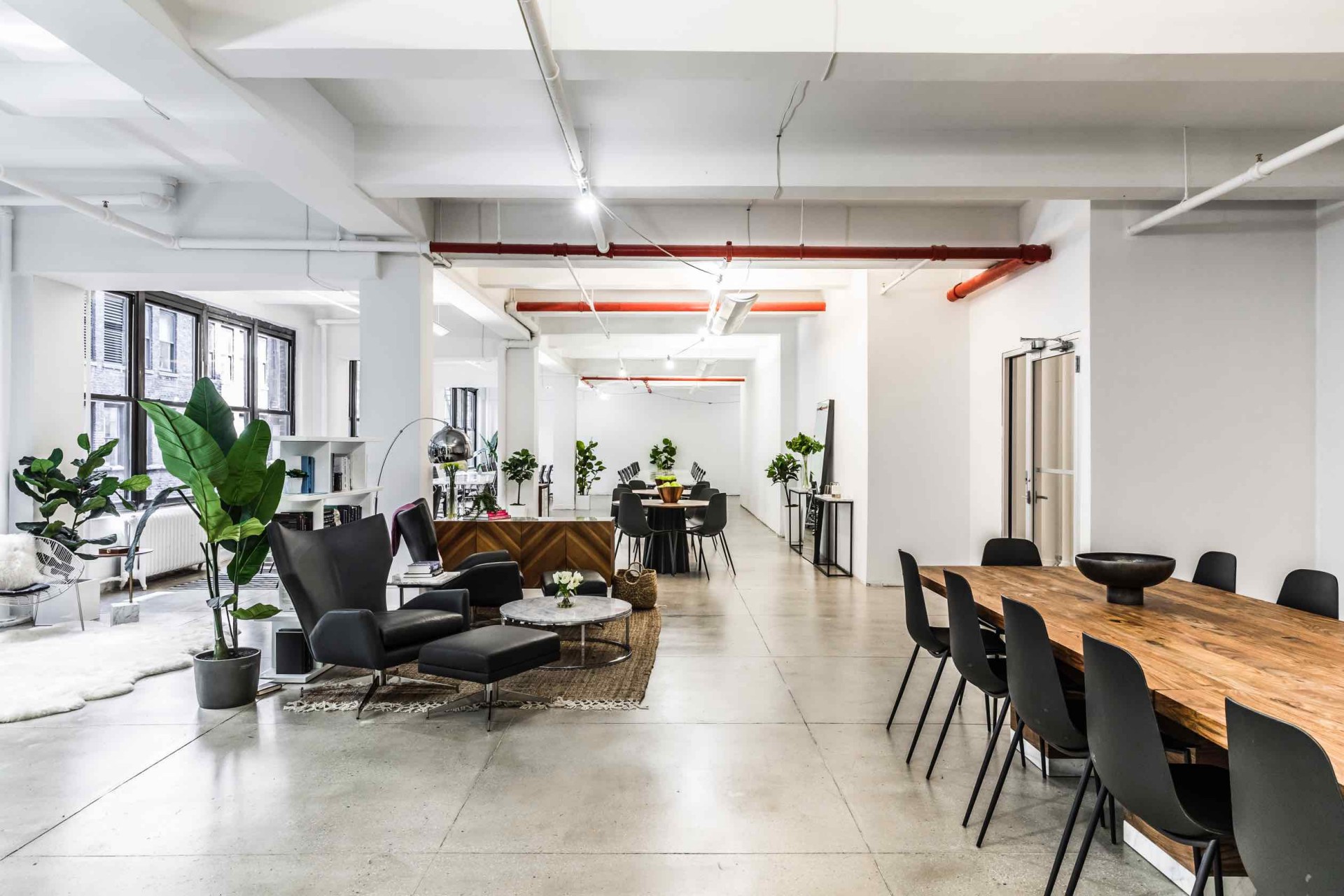 247 West 37th Street, Suite 1000