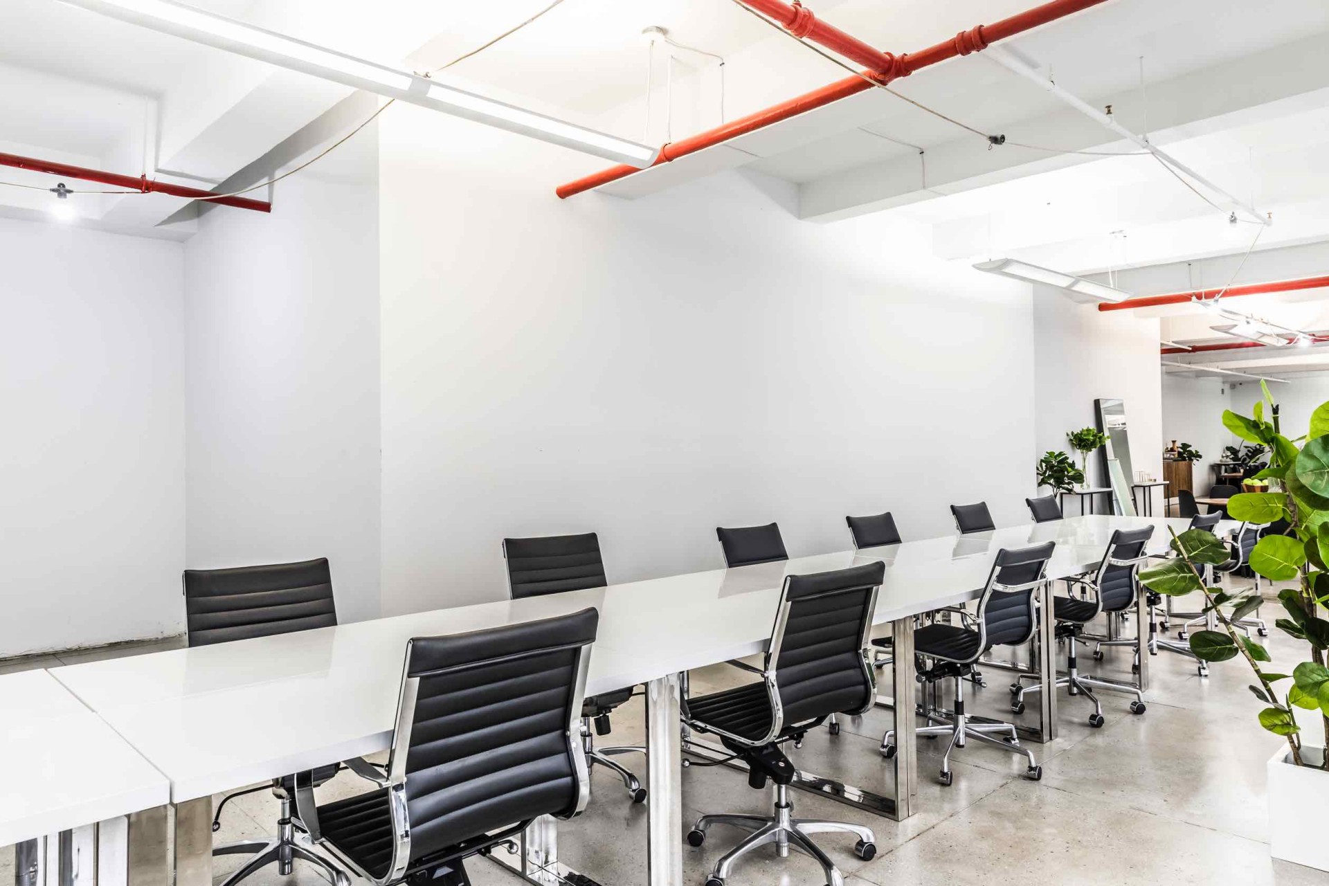 247 West 37th Street, Suite 1000
