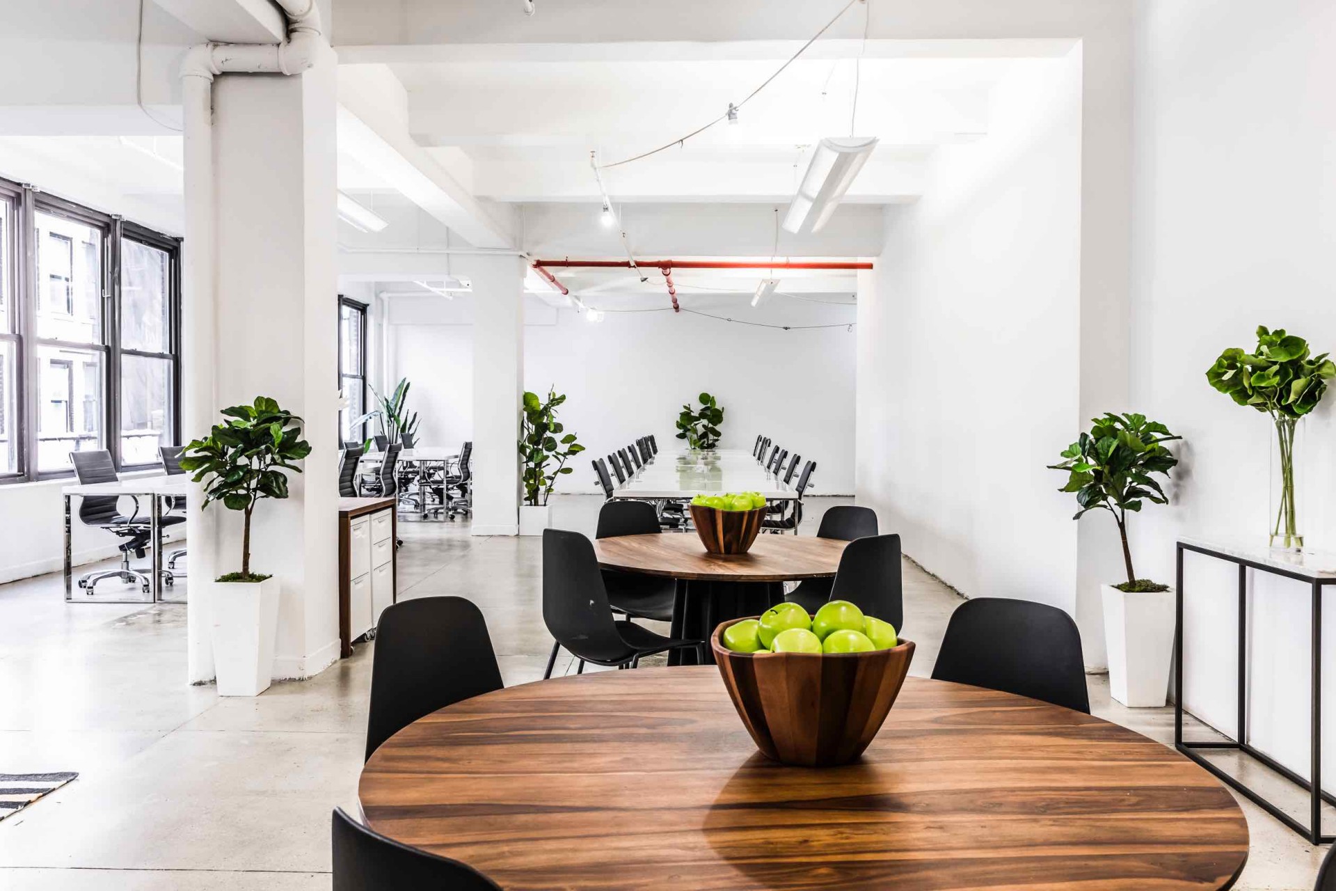247 West 37th Street, Suite 1000